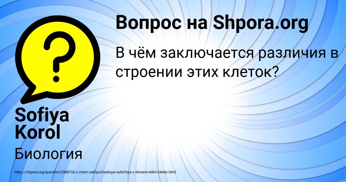 Картинка с текстом вопроса от пользователя Sofiya Korol