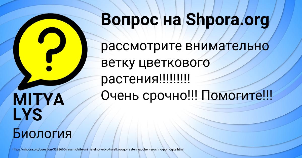 Картинка с текстом вопроса от пользователя MITYA LYS