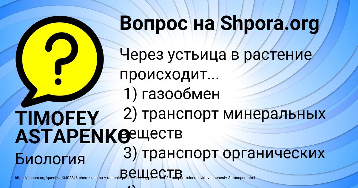Картинка с текстом вопроса от пользователя TIMOFEY ASTAPENKO 