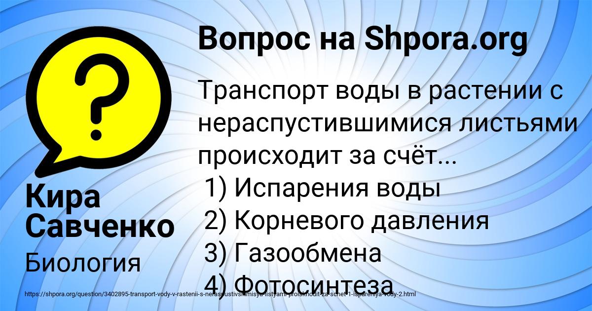 Картинка с текстом вопроса от пользователя Кира Савченко