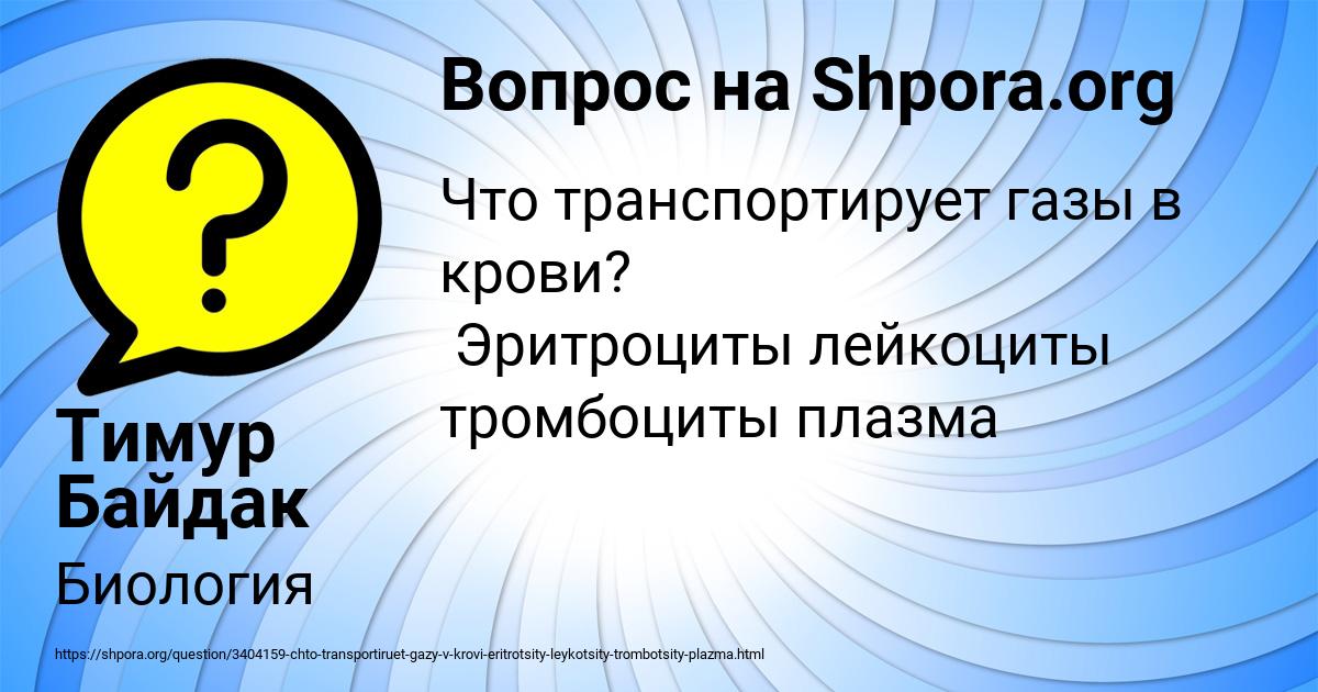 Картинка с текстом вопроса от пользователя Тимур Байдак