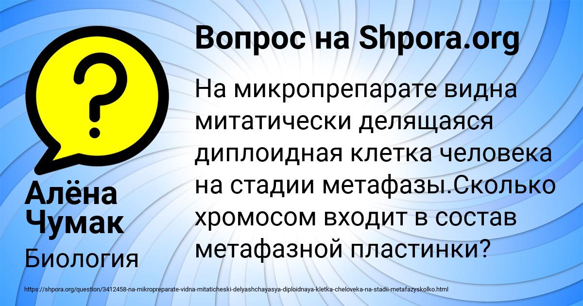 Картинка с текстом вопроса от пользователя Алёна Чумак