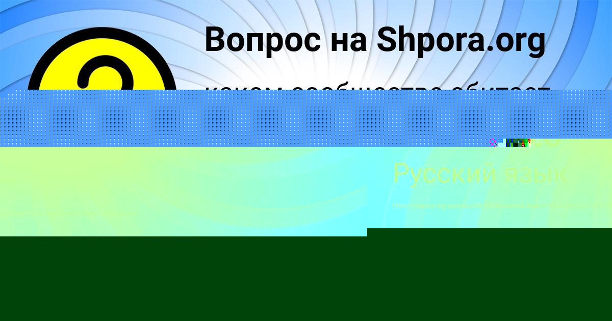 Картинка с текстом вопроса от пользователя Алёна Игнатенко