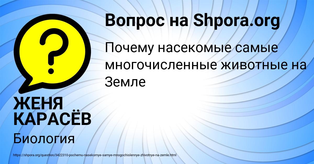 Картинка с текстом вопроса от пользователя ЖЕНЯ КАРАСЁВ