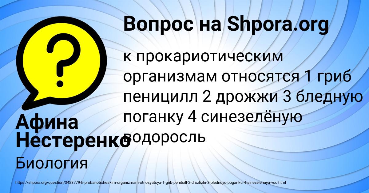 Картинка с текстом вопроса от пользователя Афина Нестеренко