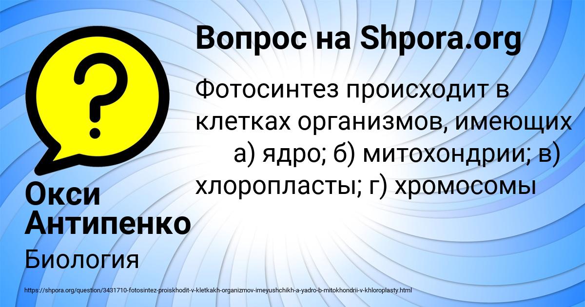 Картинка с текстом вопроса от пользователя Окси Антипенко