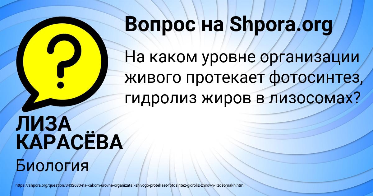 Картинка с текстом вопроса от пользователя ЛИЗА КАРАСЁВА