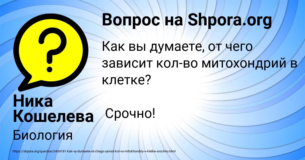 Картинка с текстом вопроса от пользователя Ника Кошелева