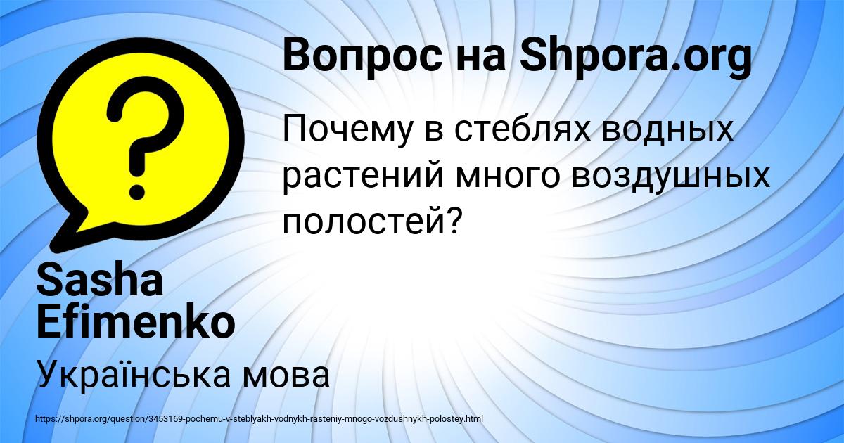 Картинка с текстом вопроса от пользователя Sasha Efimenko