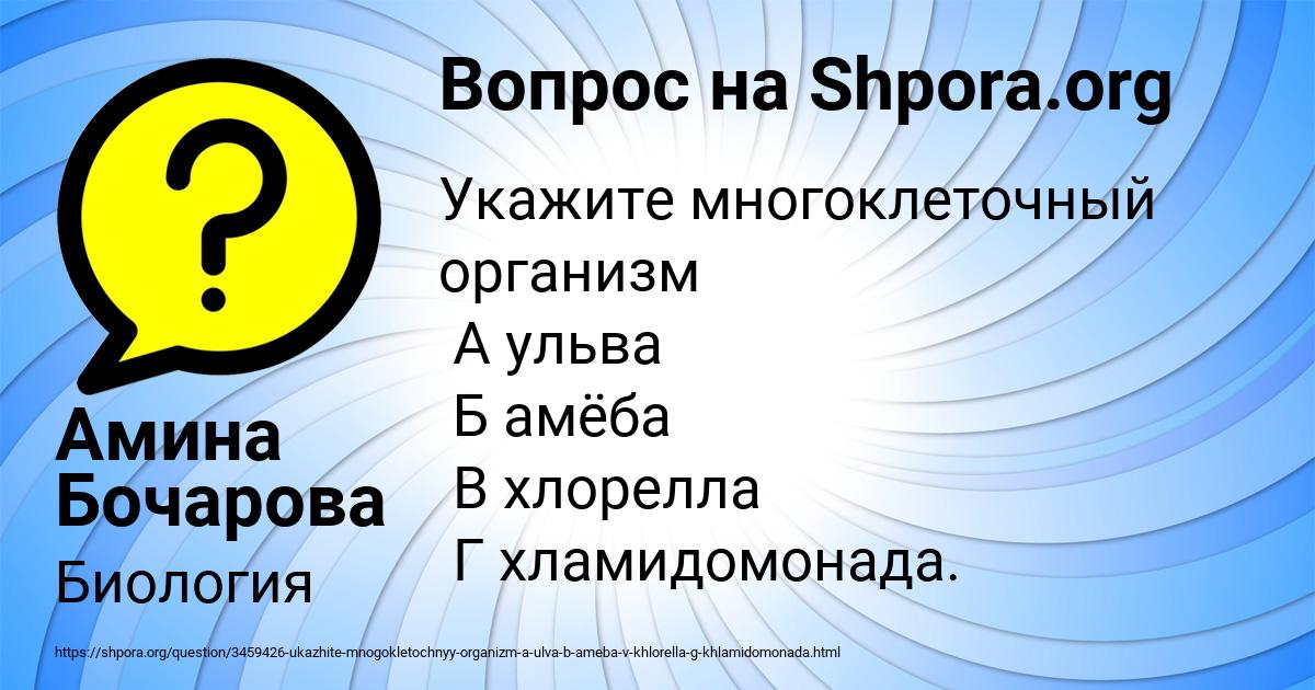 Картинка с текстом вопроса от пользователя Амина Бочарова