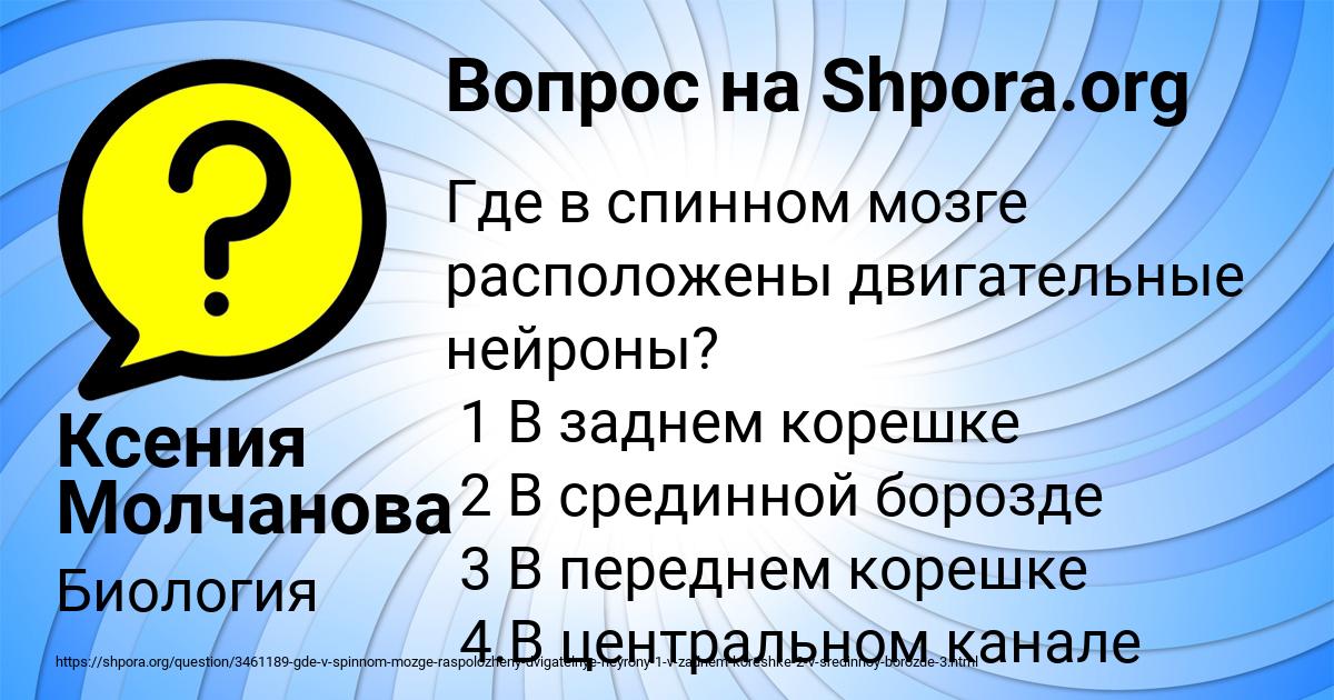 Картинка с текстом вопроса от пользователя Ксения Молчанова