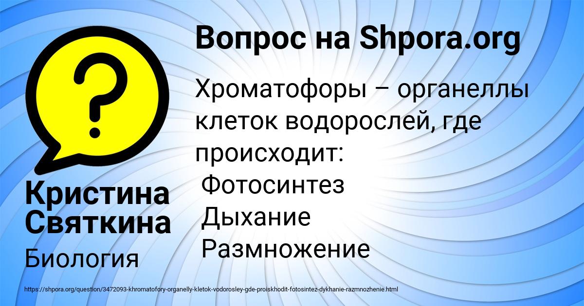 Картинка с текстом вопроса от пользователя Кристина Святкина