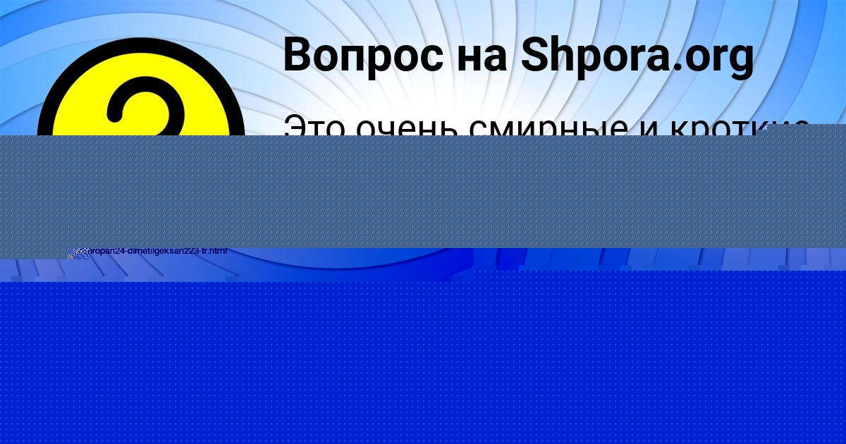 Картинка с текстом вопроса от пользователя Madiyar Sevostyanov