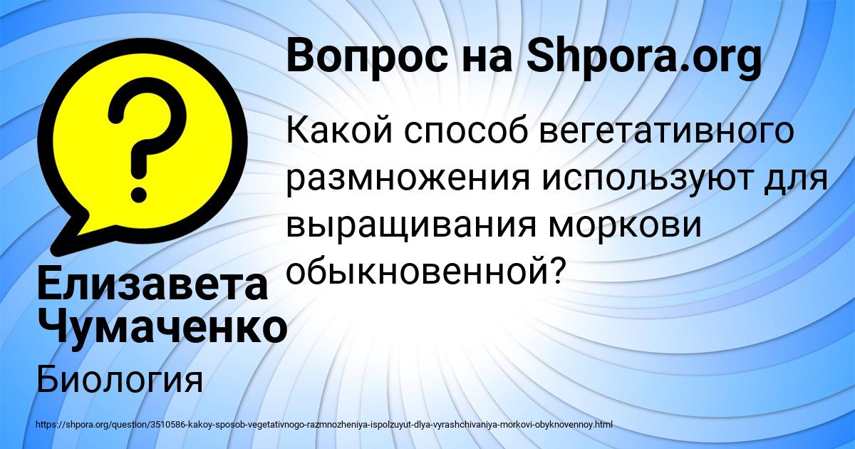 Картинка с текстом вопроса от пользователя Елизавета Чумаченко