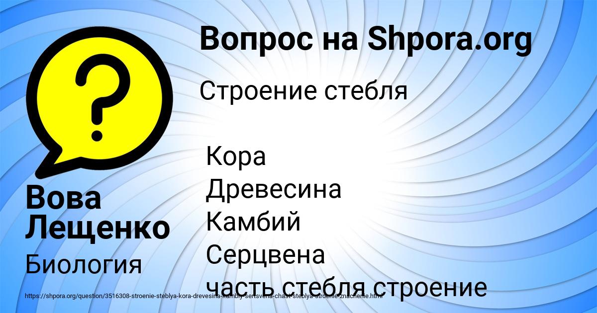 Картинка с текстом вопроса от пользователя Вова Лещенко