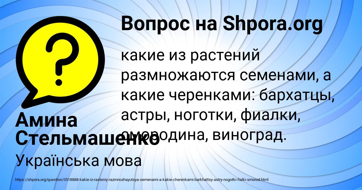 Картинка с текстом вопроса от пользователя Амина Стельмашенко