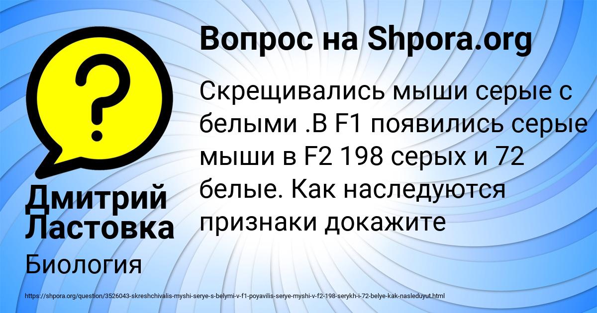Картинка с текстом вопроса от пользователя Дмитрий Ластовка