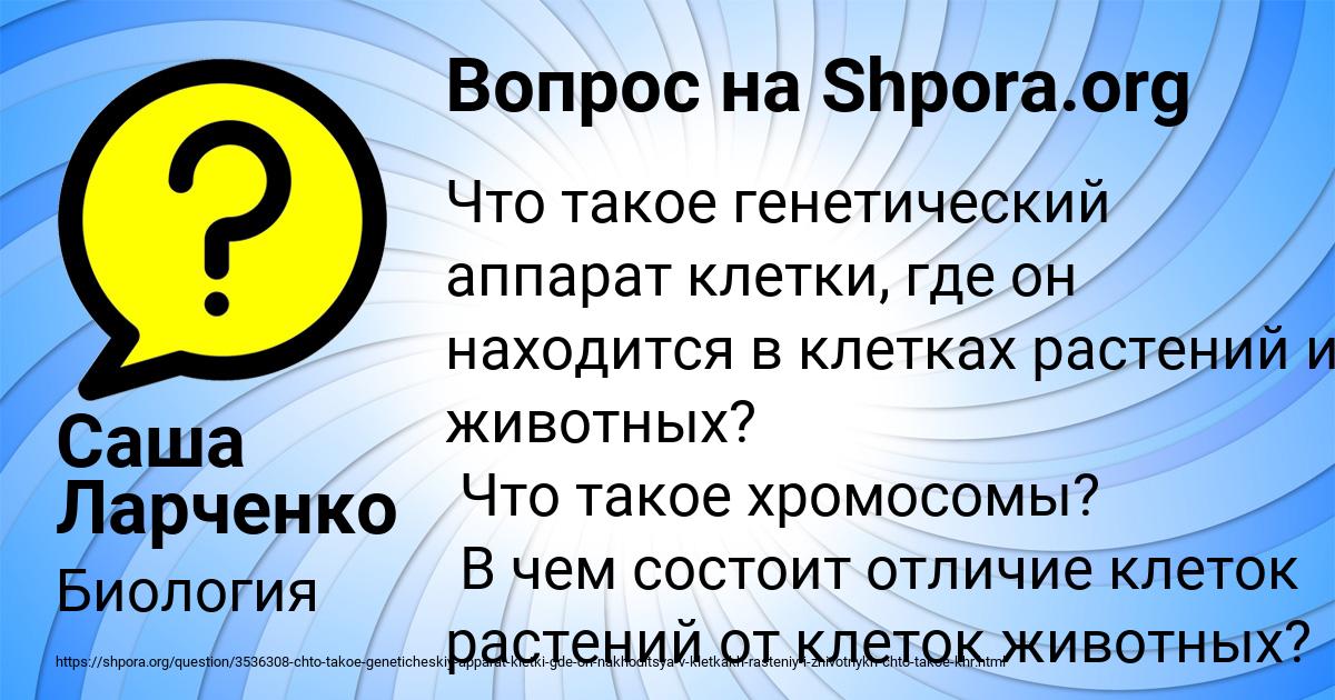 Картинка с текстом вопроса от пользователя Саша Ларченко