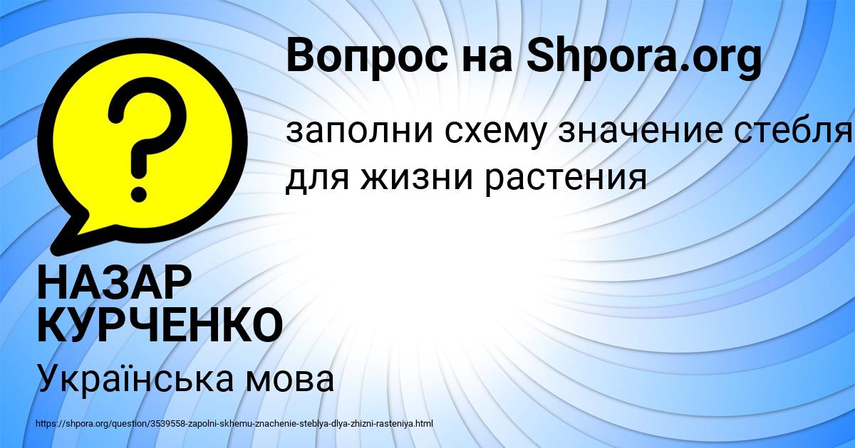 Картинка с текстом вопроса от пользователя НАЗАР КУРЧЕНКО
