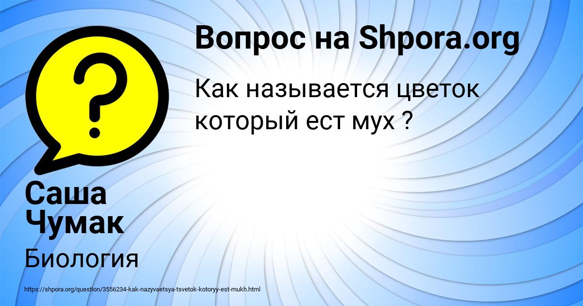 Картинка с текстом вопроса от пользователя Саша Чумак