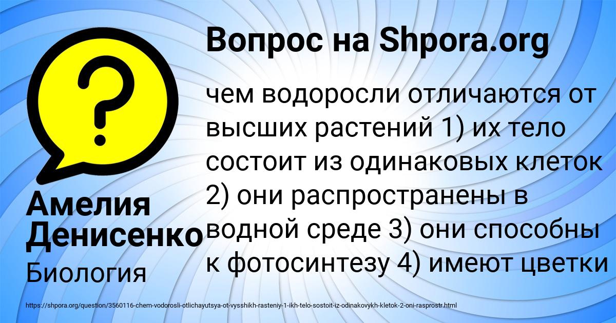 Картинка с текстом вопроса от пользователя Амелия Денисенко