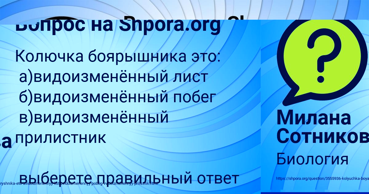 Картинка с текстом вопроса от пользователя Женя Король