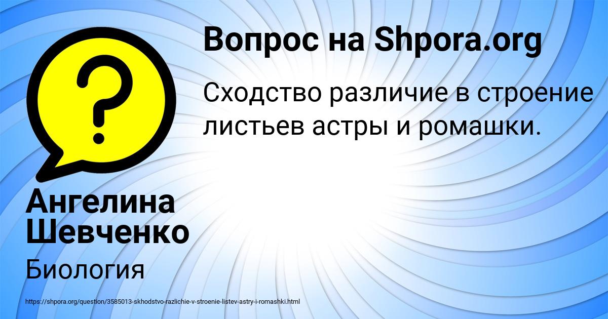 Картинка с текстом вопроса от пользователя Ангелина Шевченко