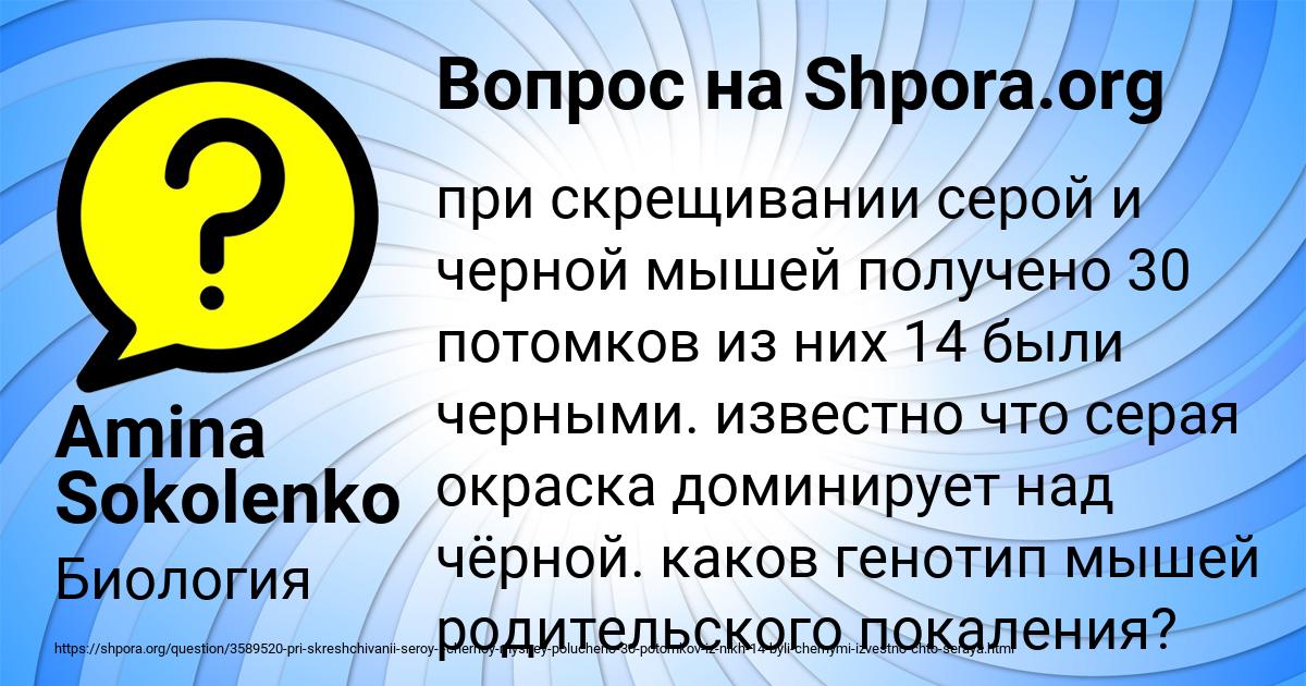 Картинка с текстом вопроса от пользователя Amina Sokolenko