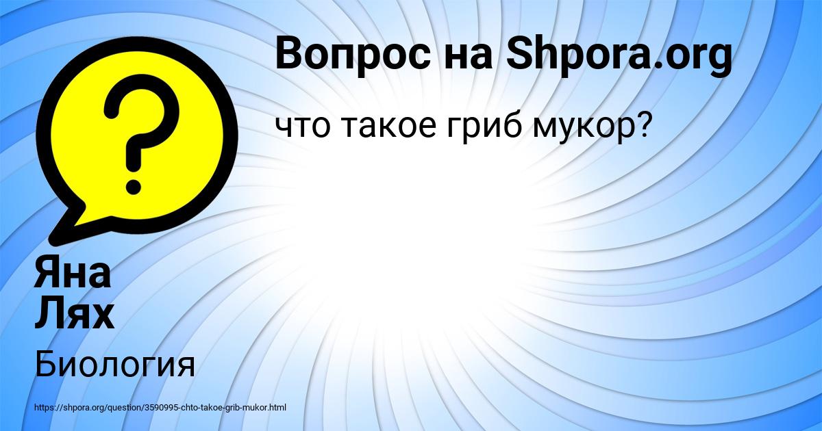 Картинка с текстом вопроса от пользователя Яна Лях