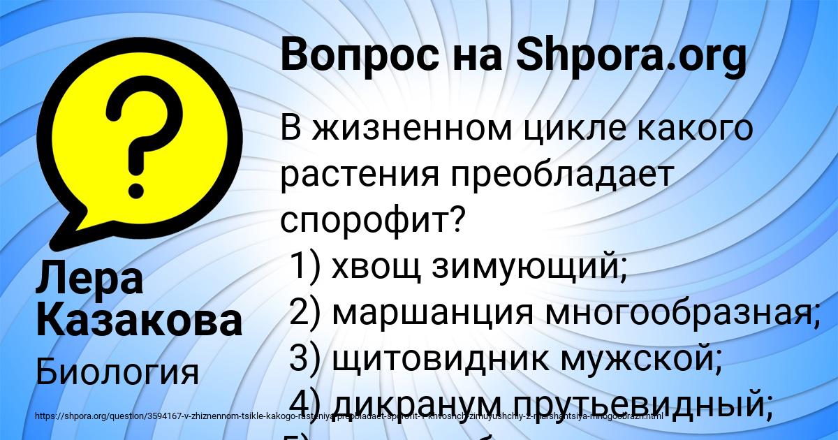 Картинка с текстом вопроса от пользователя Лера Казакова