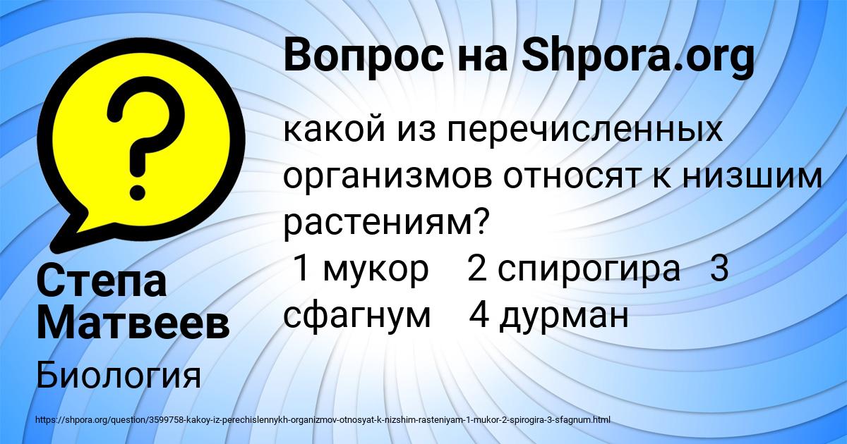 Картинка с текстом вопроса от пользователя Степа Матвеев