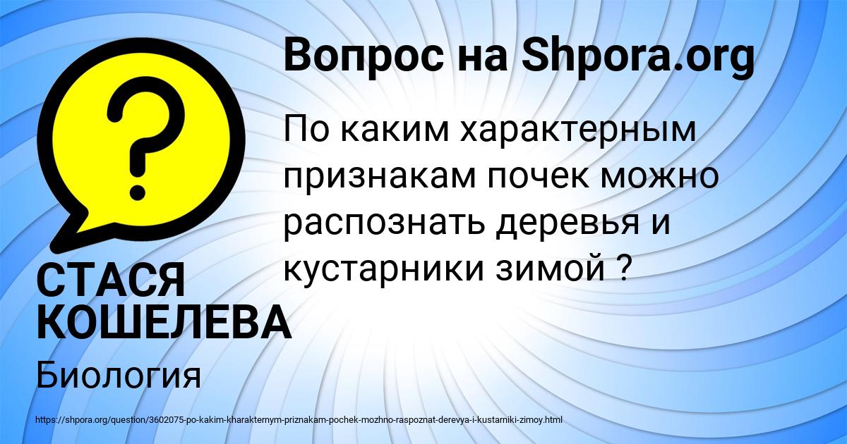 Картинка с текстом вопроса от пользователя СТАСЯ КОШЕЛЕВА