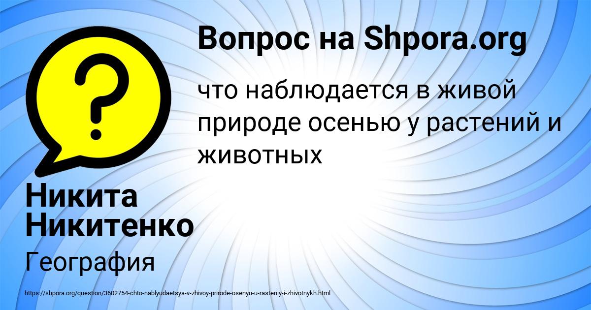 Картинка с текстом вопроса от пользователя Никита Никитенко