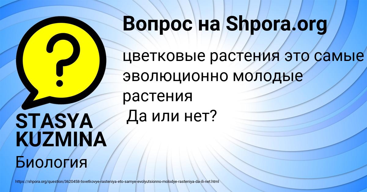 Картинка с текстом вопроса от пользователя STASYA KUZMINA