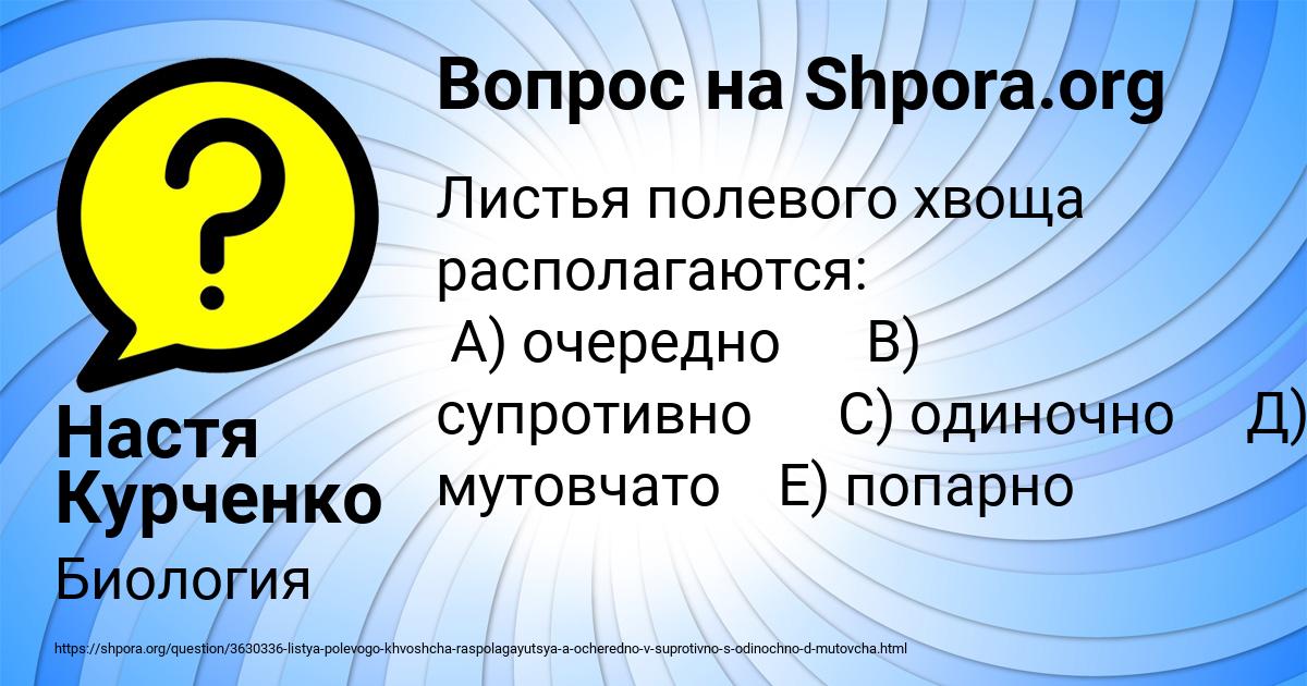 Картинка с текстом вопроса от пользователя Настя Курченко