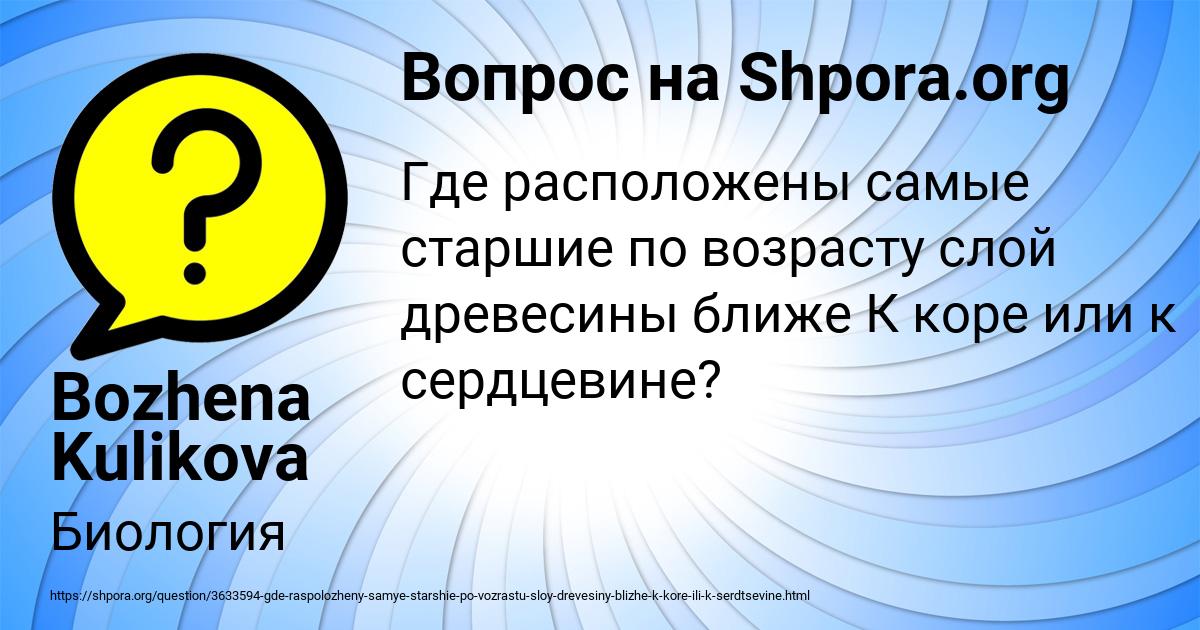 Картинка с текстом вопроса от пользователя Bozhena Kulikova