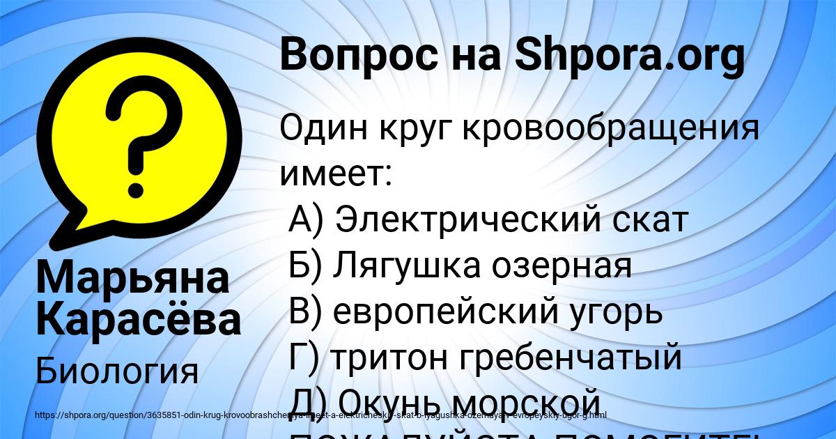 Картинка с текстом вопроса от пользователя Марьяна Карасёва