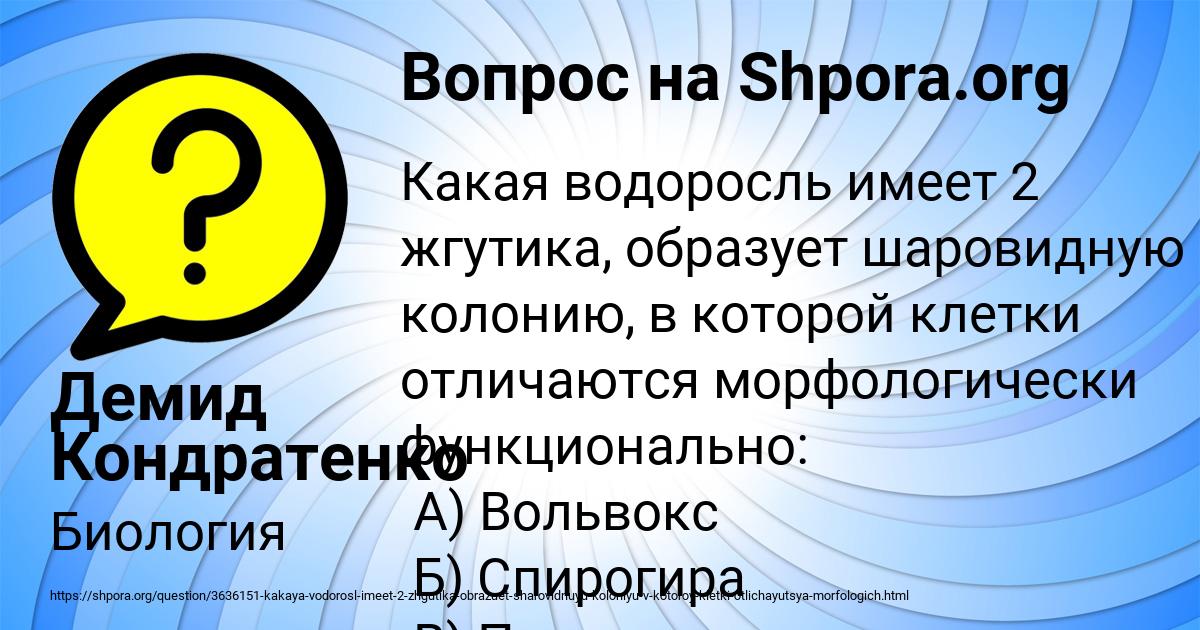 Картинка с текстом вопроса от пользователя Демид Кондратенко