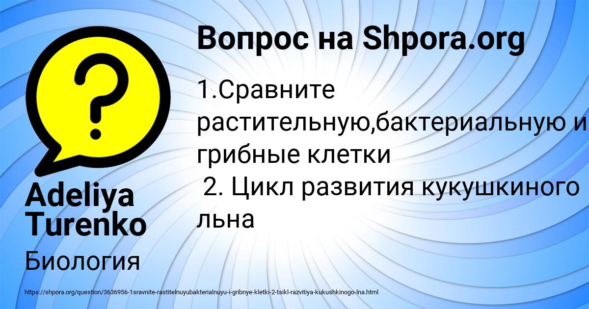 Картинка с текстом вопроса от пользователя Adeliya Turenko