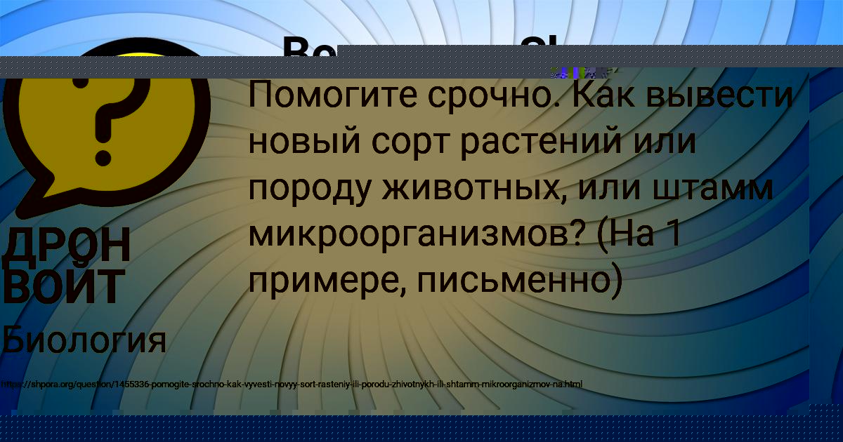 Картинка с текстом вопроса от пользователя Толик Лысенко