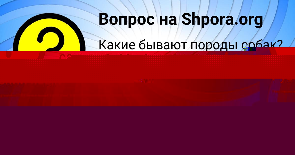 Картинка с текстом вопроса от пользователя Марьяна Санарова