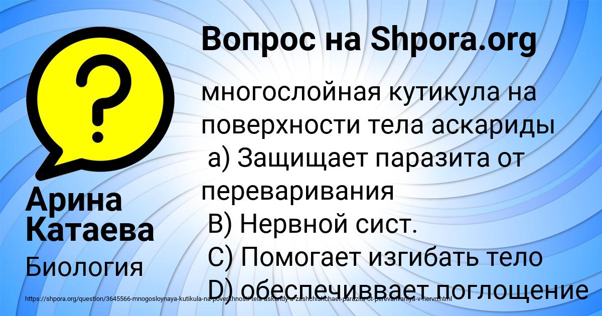 Картинка с текстом вопроса от пользователя Арина Катаева