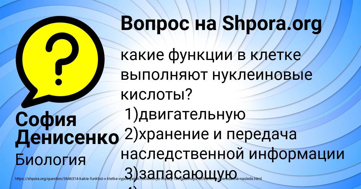 Картинка с текстом вопроса от пользователя София Денисенко