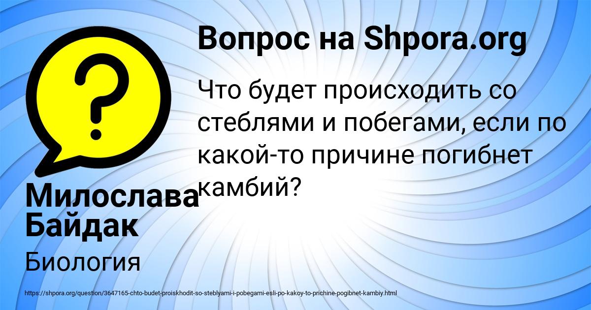 Картинка с текстом вопроса от пользователя Милослава Байдак