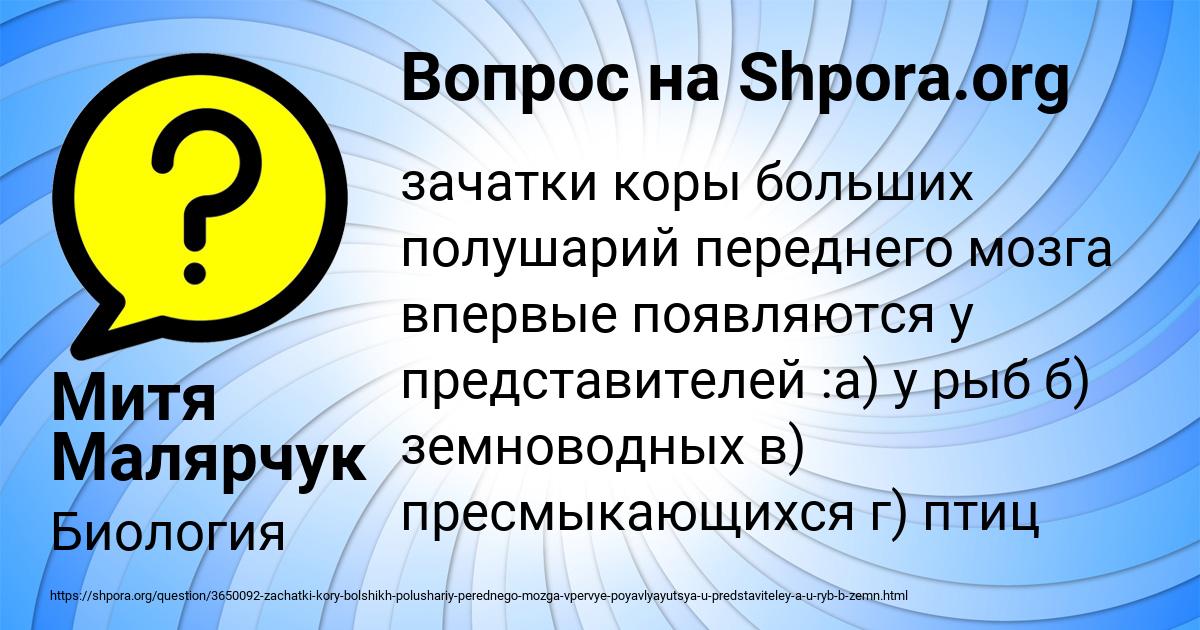 Картинка с текстом вопроса от пользователя Митя Малярчук
