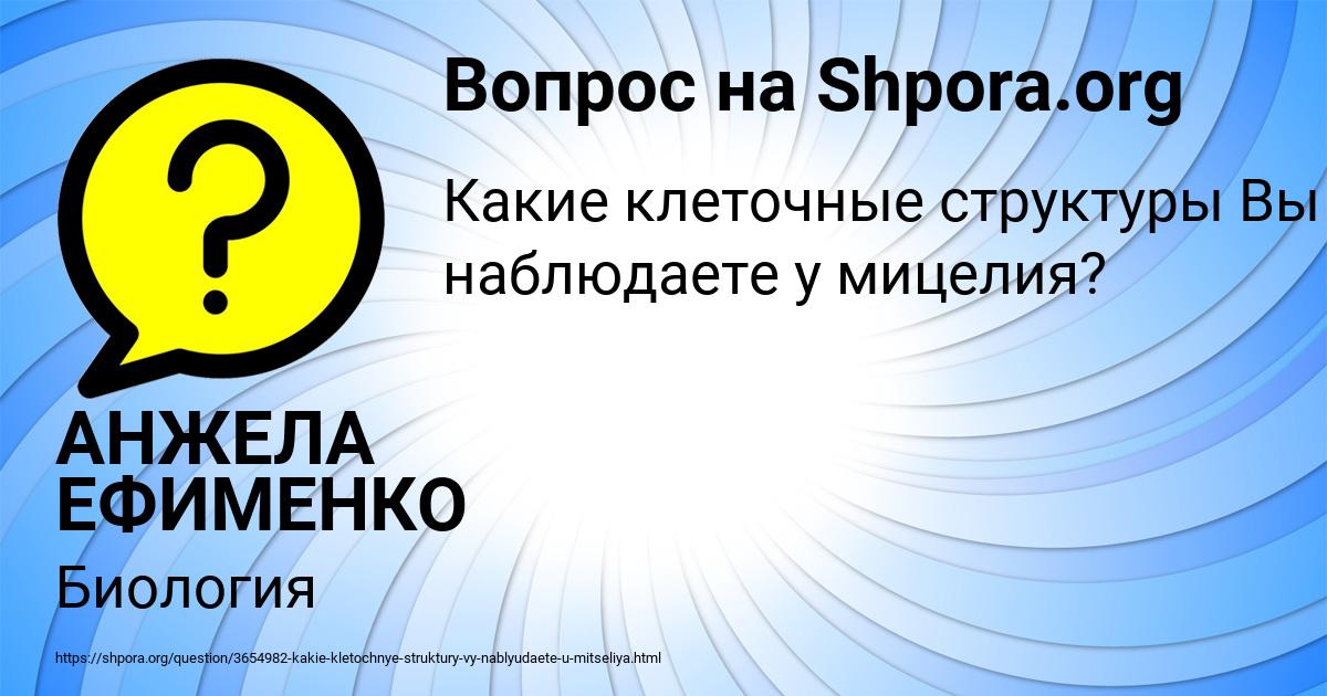 Картинка с текстом вопроса от пользователя АНЖЕЛА ЕФИМЕНКО