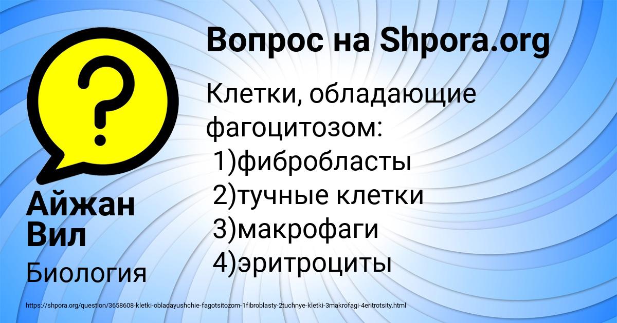 Картинка с текстом вопроса от пользователя Айжан Вил