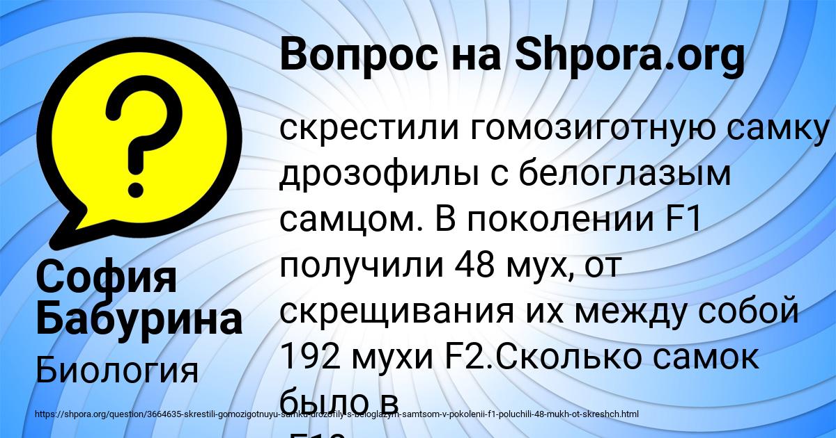 Картинка с текстом вопроса от пользователя София Бабурина