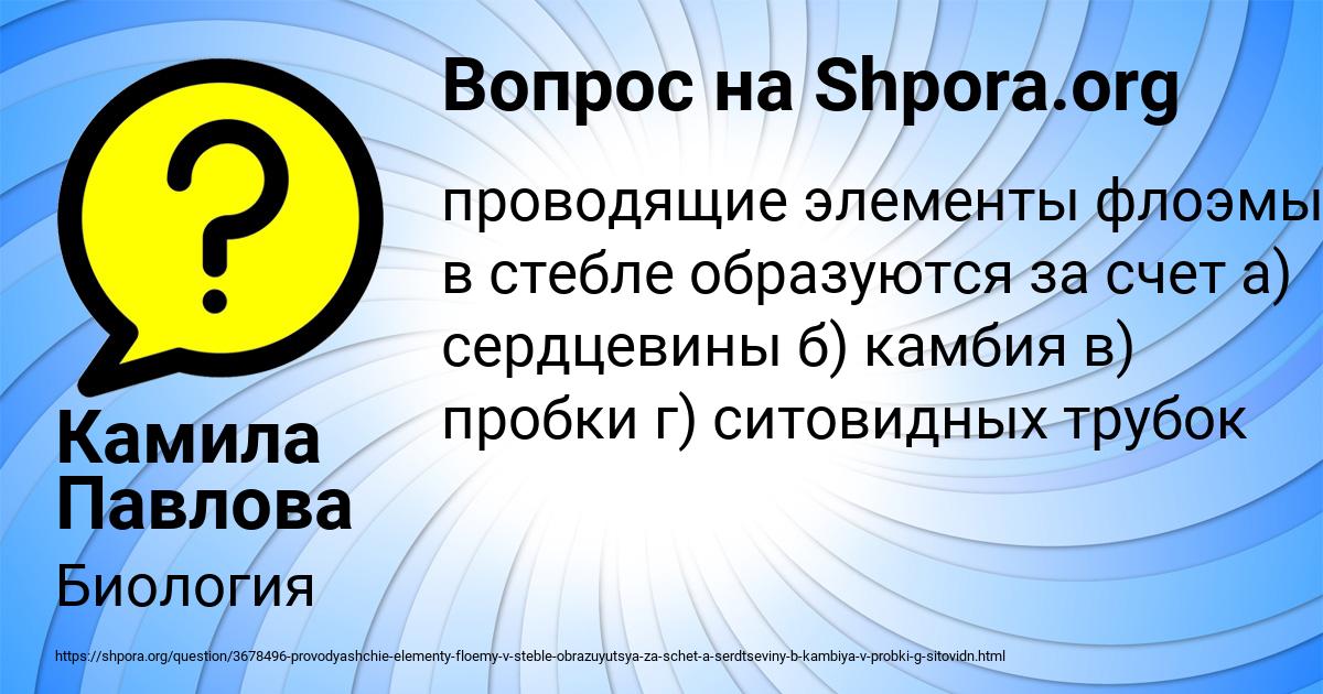 Картинка с текстом вопроса от пользователя Камила Павлова