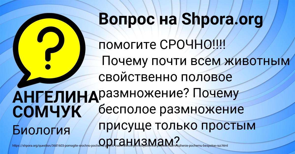 Картинка с текстом вопроса от пользователя АНГЕЛИНА СОМЧУК